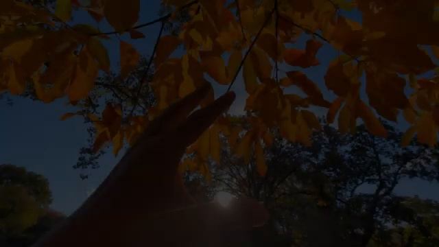 Autumn Scenery & Fall Foliage, Peaceful Soothing Instrumental Music, Canadian Autumn