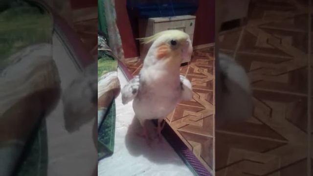 Филя учиться говорить смотреть онлайн