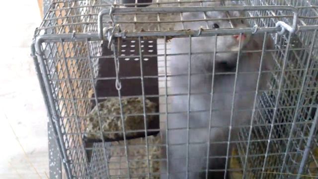 Норка отжигает смотреть онлайн