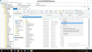 еще один способ решения ошибки в TruckersMP