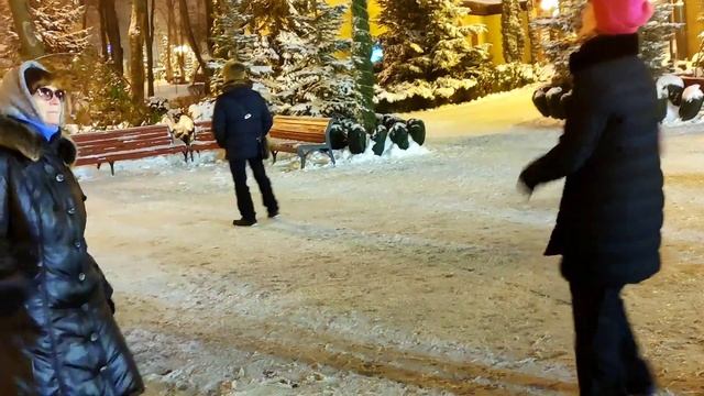 Полевые цветы Танцы в парке Горького Харьков Декабрь 2021 смотреть онлайн