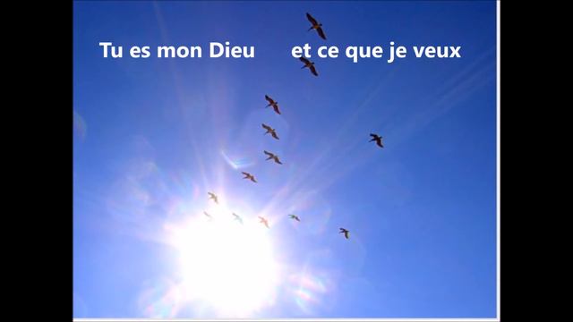 Je voudrais t'aimer Seigneur de Thérèse Motte 1996 смотреть онлайн