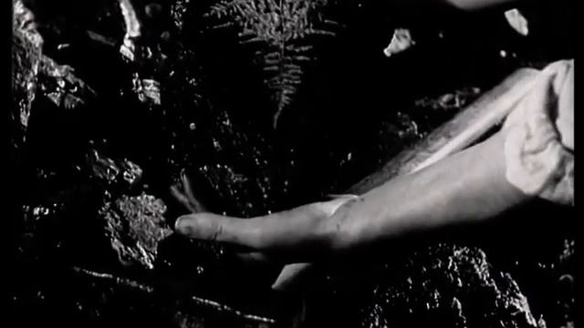 „Вот кого надо было писать в книгу шахтерской славы!“ смотреть онлайн