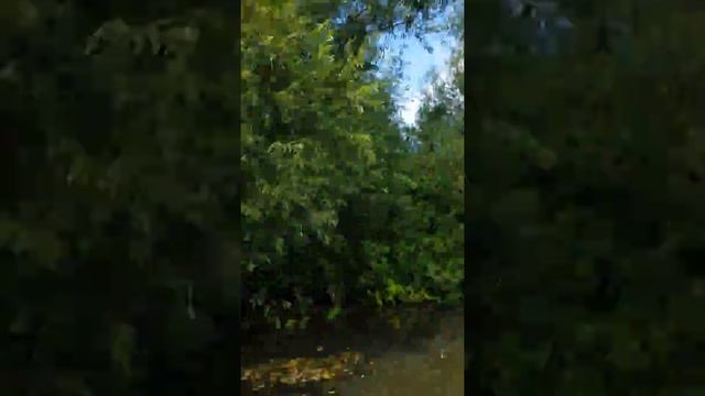 Побег на Таву 2019! смотреть онлайн