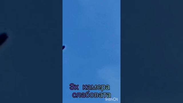 Орлан белохвост смотреть онлайн