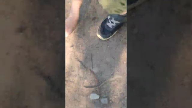 как призвать сиреноголового смотреть онлайн