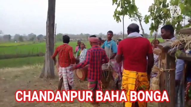 chandanpur Baha Bonga 2021 смотреть онлайн