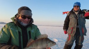 Мороз. Солнце. Окунь.