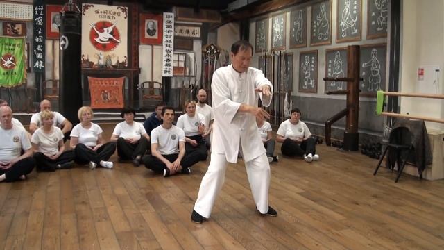 Seminar in Moscow, Master Ly Hong Thai, a demonstration of the complex Wu-Chi. смотреть онлайн