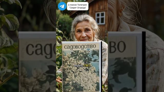 Невероятный способ подкормки огурцов #секретогорода #дачныесоветы #огород #урожай #огурцы