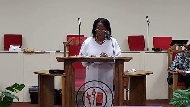 Are you willing to go out on the Limb - Rev Christine Adams смотреть онлайн