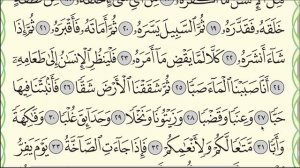 Коран. Сура "Абаса" № 80. Чтение. #коран #таджвид #АрабиЯ#хадж