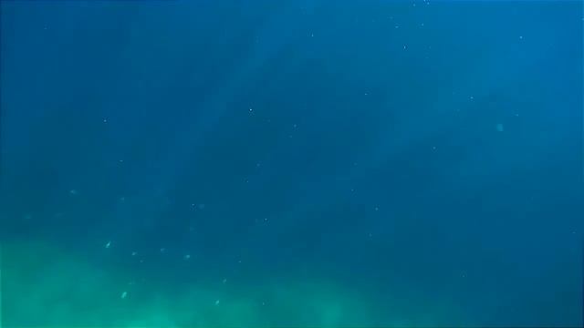 Сноркелинг на Панглао - подводный обрыв, рыба-ангел и корралы смотреть онлайн