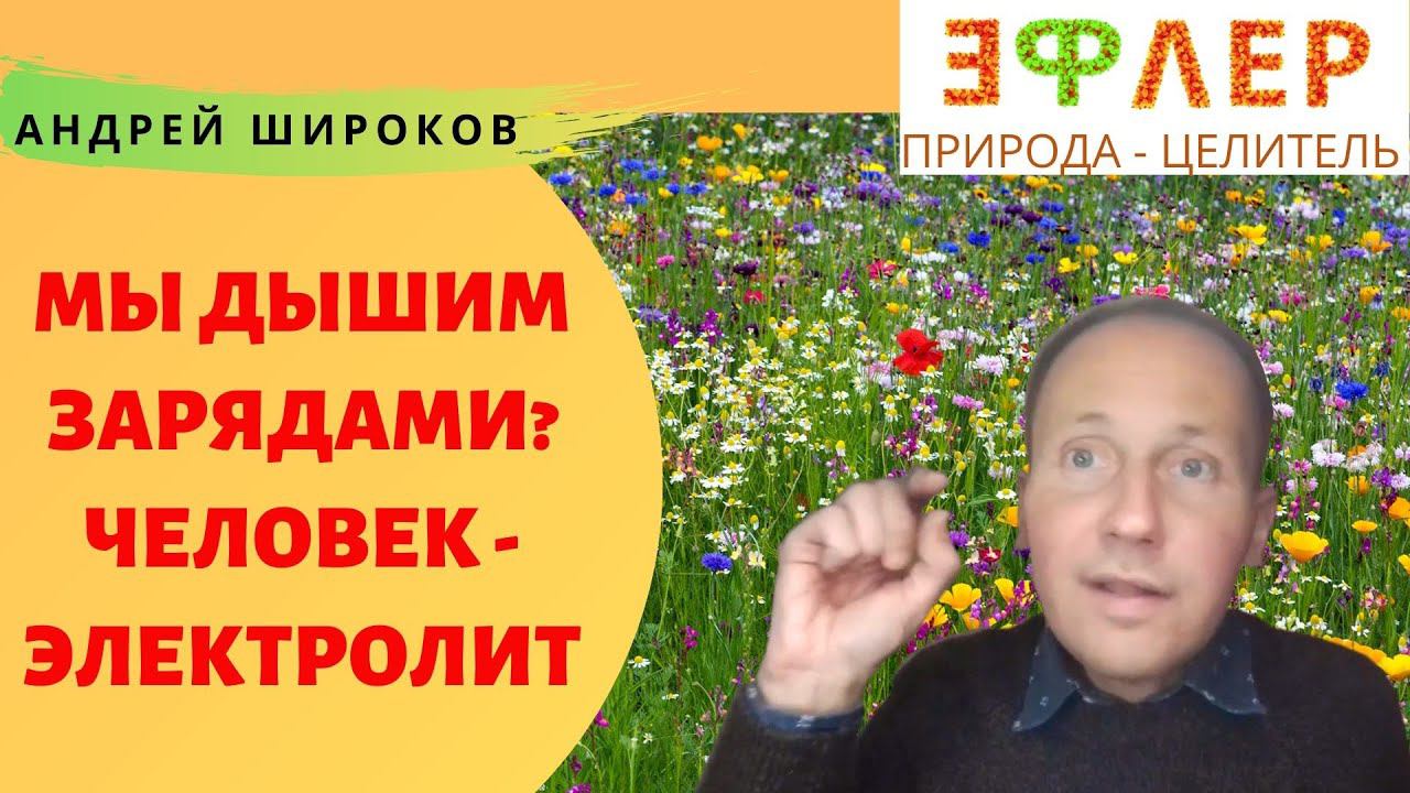 ЛЮДИ ДЫШАТ ЭЛЕКТРИЧЕСТВОМ? Разбор Теории Валерия Крымского смотреть онлайн