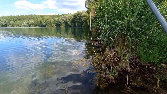 БОКОВОЙ КИВОК,РЫБАЛКА! смотреть онлайн