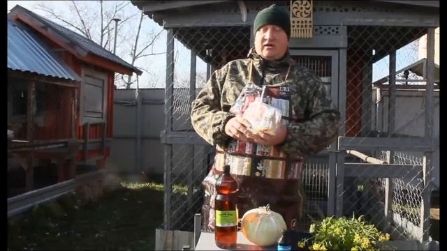 Зооветеринарная подготовка кур несушек к зиме. смотреть онлайн