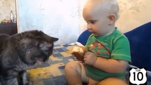 ДЕТИ и КОТЫ    МЛАДЕНЦЫ и КОШКИ    НЕРЕАЛЬНО СМЕШНО
