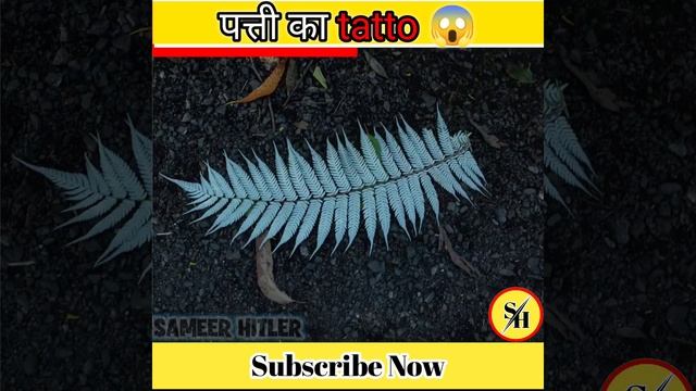 पत्ती का tatto?|sameerhitler|#shorts#facts смотреть онлайн