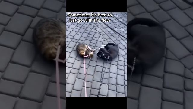 Комфортая поездка смотреть онлайн