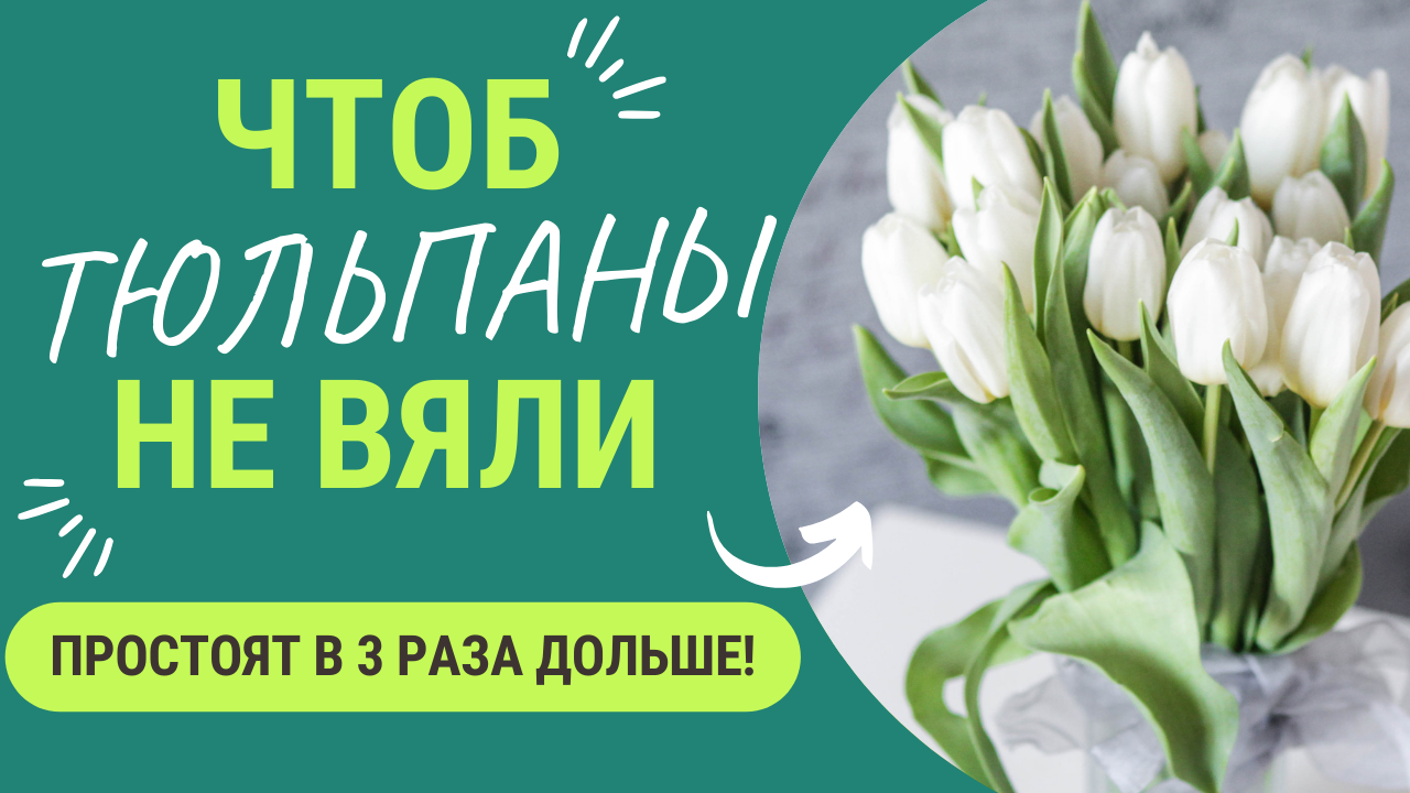 Чтоб ваши тюльпаны 🌷 простояли в 3 раза дольше нужно... смотреть онлайн