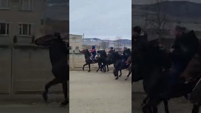 карачаевская порода лошадей Къ знак качества, прогулка Усть-Джегута-Къызыл къала смотреть онлайн