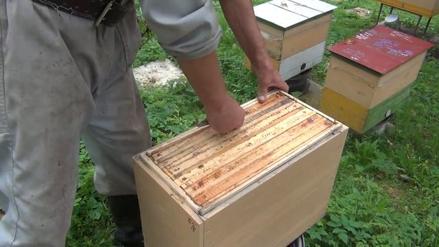 28 августа нуклеус с магазином эксперимент смотреть онлайн