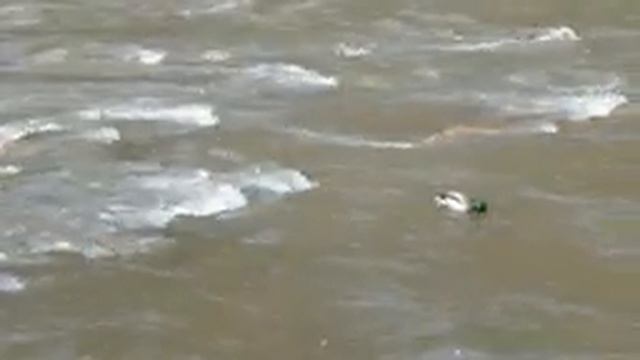 #69. Вечеринка в стиле ДИСКОТЕКА 90х. База отдыха БАЗАИХА RIVER. Ушли в отрыв! смотреть онлайн