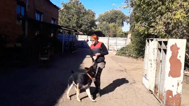 Игра еда. смотреть онлайн