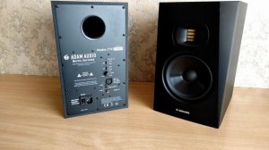 Лучшие БЮДЖЕТНЫЕ Мониторы Для EDM? | Обзор ADAM T7V