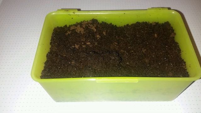 Органические удобрения для дачных растений и комнатных цветов своими руками в домашних условиях смотреть онлайн