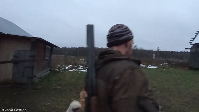 Охота с собаками | Ночь у костра | Собака держит глухаря смотреть онлайн