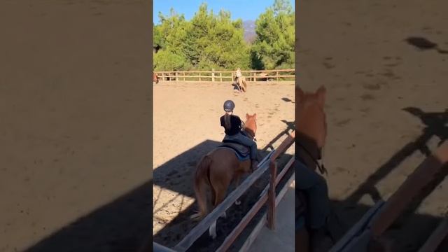 День на конюшне в США #конюшня #лошади #конники #сша #америка смотреть онлайн