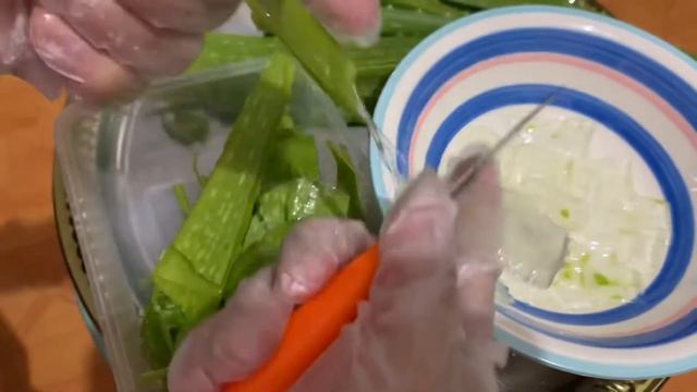 HOW TO MAKE ALOE VERA SHAKE AT HOME|Jeiel Comiling смотреть онлайн