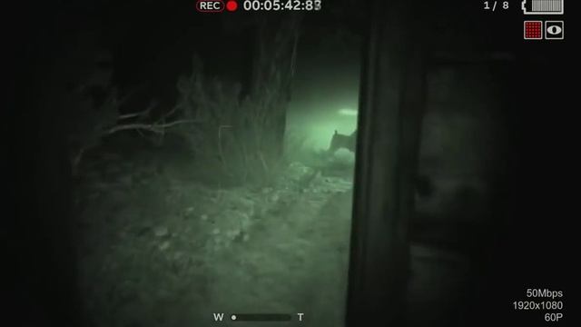 Outlast 2 Demo (Daks HD700) смотреть онлайн