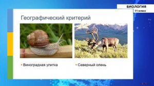 11 класс - РУ - Биология - №2 - Вид и его критерии. Естественный отбор. Формы естественного отбора