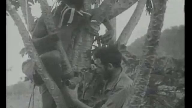 Kokoda Front Line смотреть онлайн