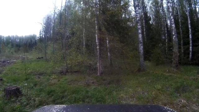 Выезд в болота смотреть онлайн