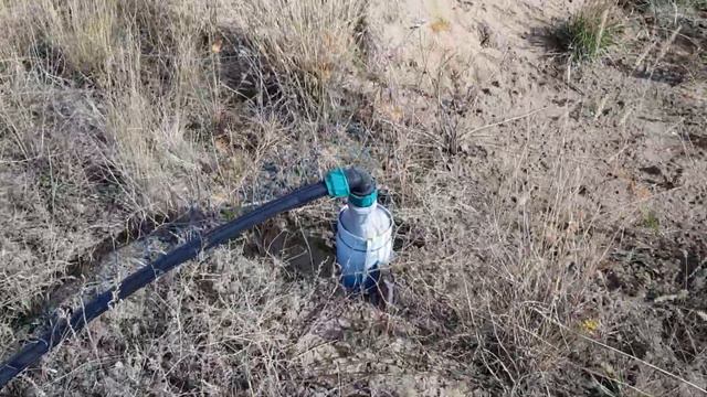 Поместье с нуля смотреть онлайн