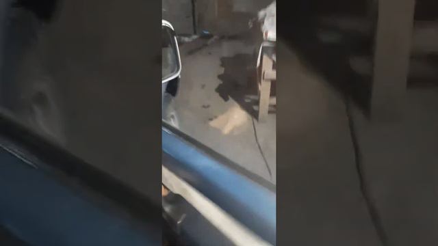 паровозный гудок на паджерика смотреть онлайн
