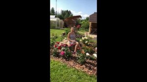 Обзор роз из питомника Елены Иващенко