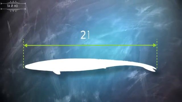 Что от нас спрятали под песками САХАРЫ??? смотреть онлайн