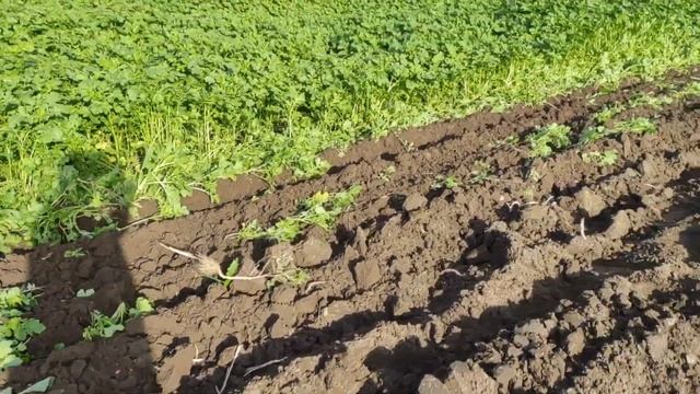 НЕВДАЛЕ ВИПРОБУВАННЯ ДВУХКОРПУСНОГО ПЛУГА смотреть онлайн