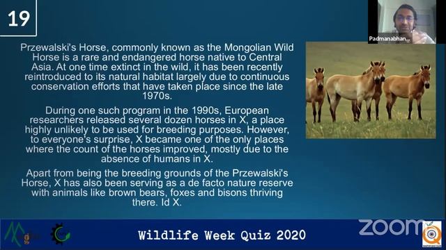 Wildlife Quiz | Nature Shala смотреть онлайн