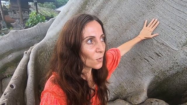 Как понимать язык деревьев-мудрецов? смотреть онлайн