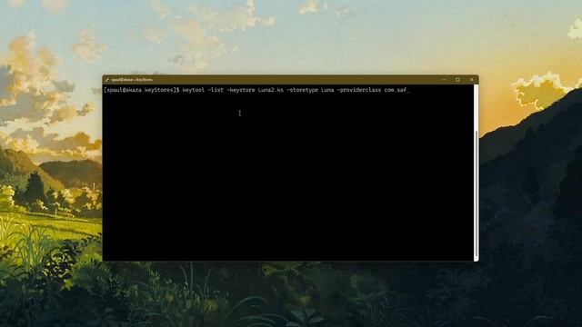 Java Cryptography : Configuring LunaProvider смотреть онлайн