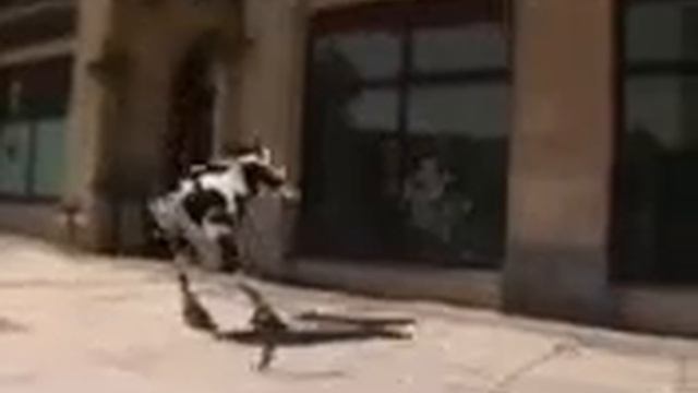 Карова му му муууу смотреть онлайн