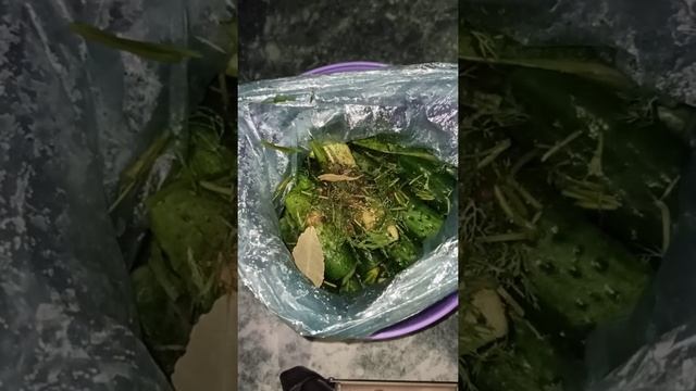 Мастерство в Искусстве