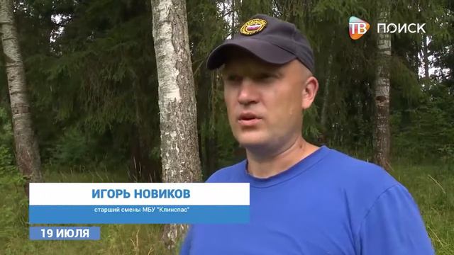 Профилактика лесных пожаров смотреть онлайн
