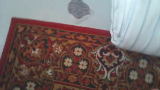 Меня кусьнула бешеная собачка! смотреть онлайн