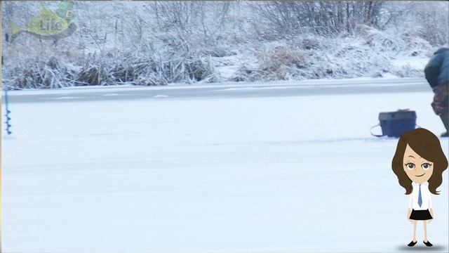 Как наловить гору окуня в январе? Где искать окуня в январе? На что ловить окуня в январе? смотреть онлайн